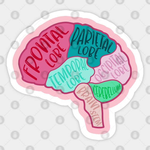 Anatomical brain - human brain Sticker by Dr.Bear